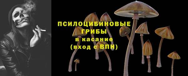 не бодяженный Алзамай