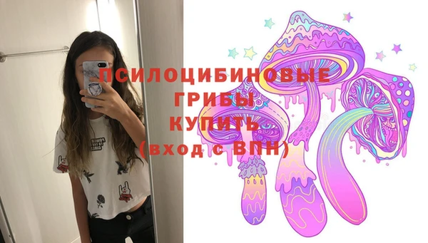 не бодяженный Алзамай