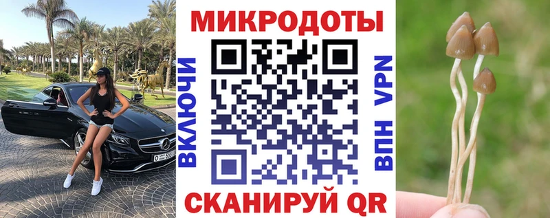 Псилоцибиновые грибы Magic Shrooms  Полысаево 